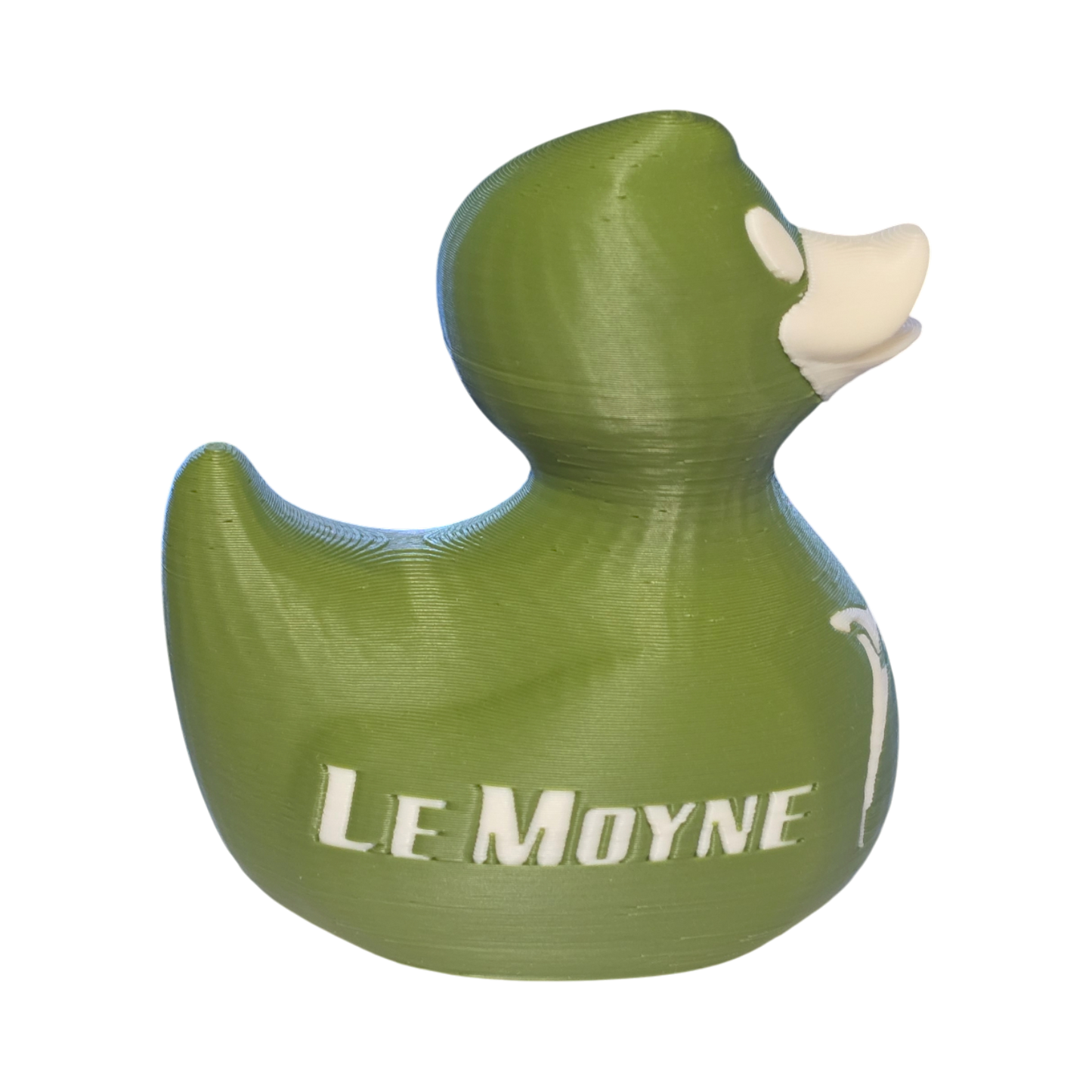 Le Moyne Dolphins Duck
