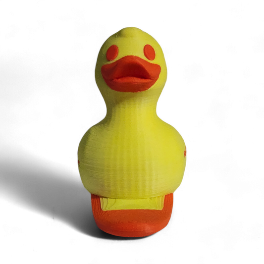 Board Life Duck