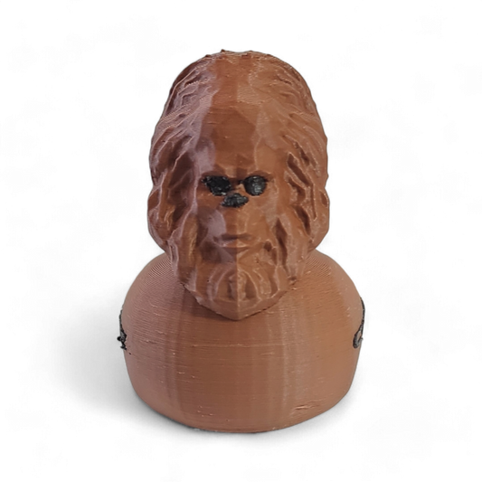 Chewbacca Duck