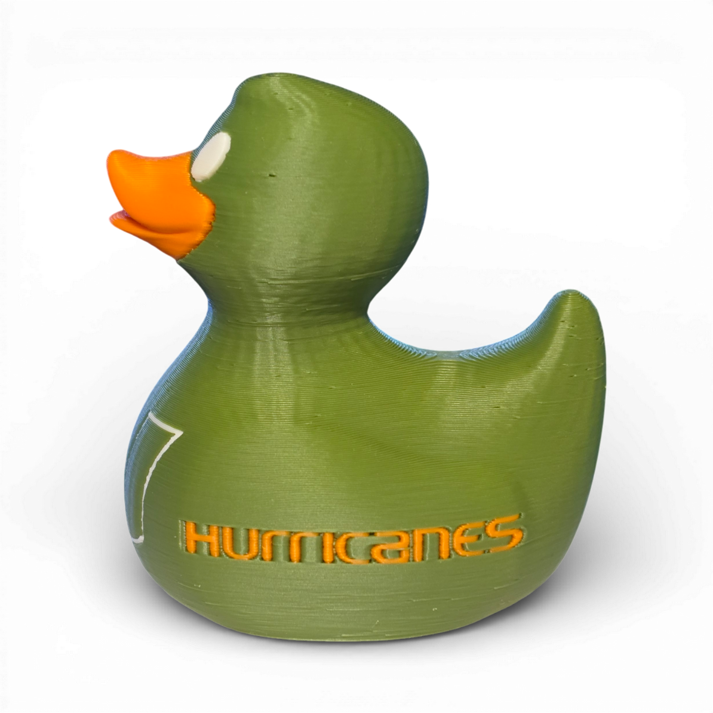 Miami Hurricanes Duck