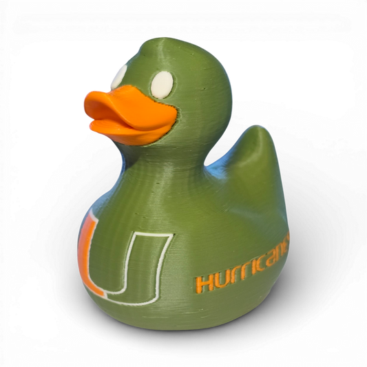 Miami Hurricanes Duck