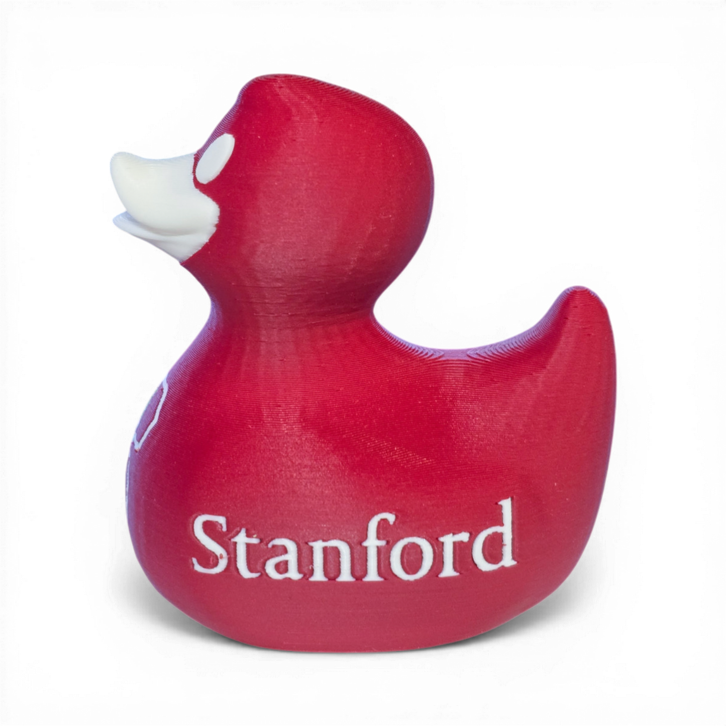 Stanford Duck